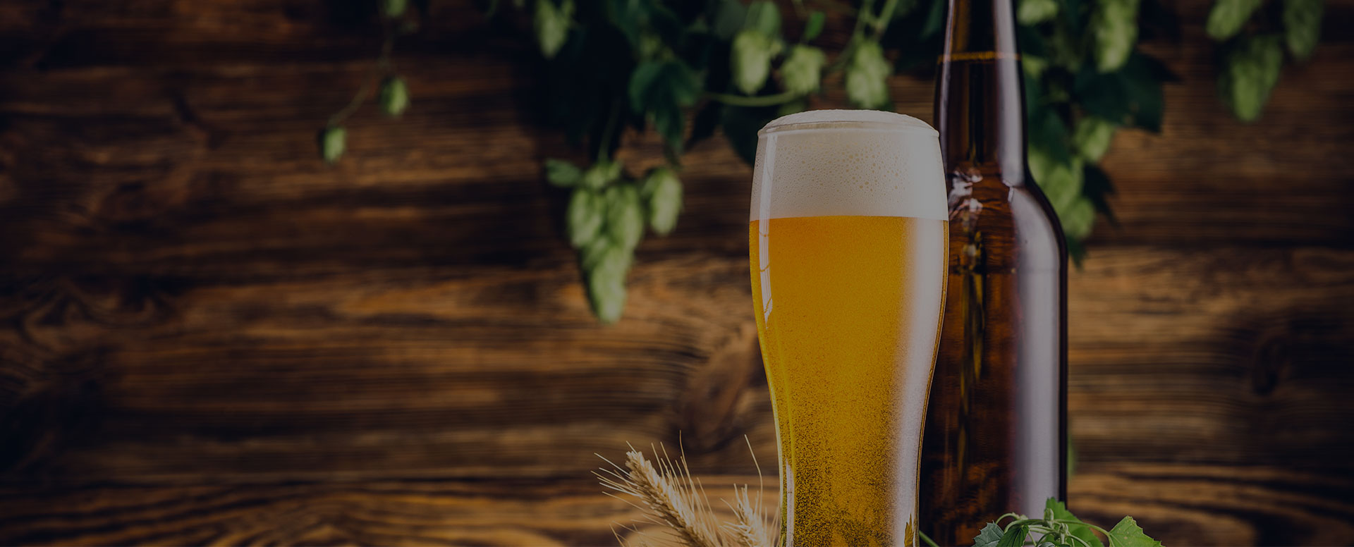 Beer / Cider